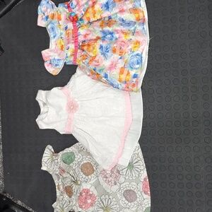 24 month dress bundle